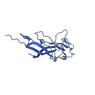 8974_6e34_AD_v2-1
Capsid protein of PCV2 with N,O6-DISULFO-GLUCOSAMINE and 2-O-sulfo-alpha-L-idopyranuronic acid