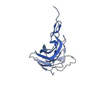 8974_6e34_AE_v1-2
Capsid protein of PCV2 with N,O6-DISULFO-GLUCOSAMINE and 2-O-sulfo-alpha-L-idopyranuronic acid