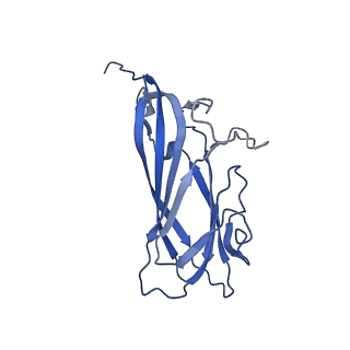 8974_6e34_AG_v1-2
Capsid protein of PCV2 with N,O6-DISULFO-GLUCOSAMINE and 2-O-sulfo-alpha-L-idopyranuronic acid