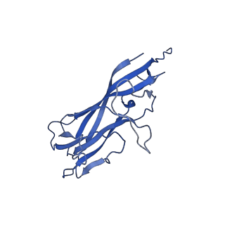 8974_6e34_AH_v2-1
Capsid protein of PCV2 with N,O6-DISULFO-GLUCOSAMINE and 2-O-sulfo-alpha-L-idopyranuronic acid