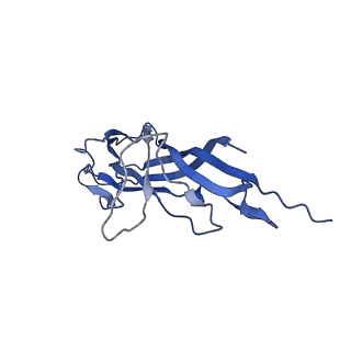 8974_6e34_AI_v1-2
Capsid protein of PCV2 with N,O6-DISULFO-GLUCOSAMINE and 2-O-sulfo-alpha-L-idopyranuronic acid