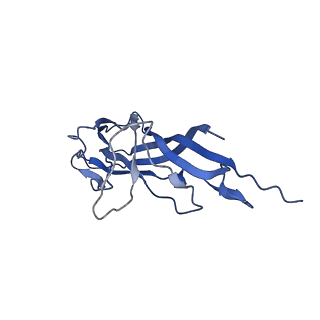 8974_6e34_AI_v2-1
Capsid protein of PCV2 with N,O6-DISULFO-GLUCOSAMINE and 2-O-sulfo-alpha-L-idopyranuronic acid