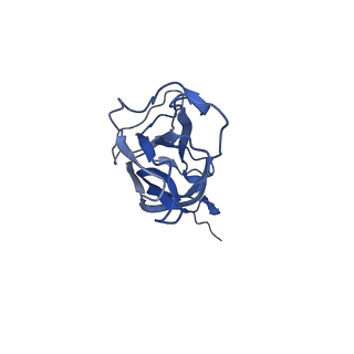 8974_6e34_AL_v2-1
Capsid protein of PCV2 with N,O6-DISULFO-GLUCOSAMINE and 2-O-sulfo-alpha-L-idopyranuronic acid