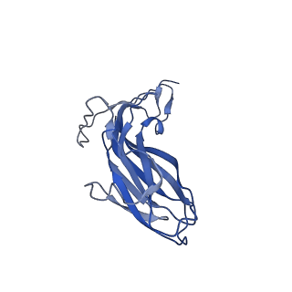 8974_6e34_AM_v1-2
Capsid protein of PCV2 with N,O6-DISULFO-GLUCOSAMINE and 2-O-sulfo-alpha-L-idopyranuronic acid