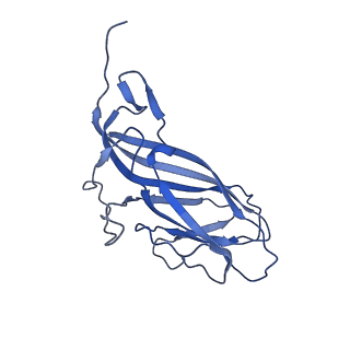 8974_6e34_AN_v1-2
Capsid protein of PCV2 with N,O6-DISULFO-GLUCOSAMINE and 2-O-sulfo-alpha-L-idopyranuronic acid