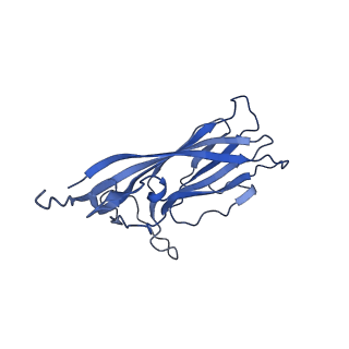 8974_6e34_AO_v2-1
Capsid protein of PCV2 with N,O6-DISULFO-GLUCOSAMINE and 2-O-sulfo-alpha-L-idopyranuronic acid