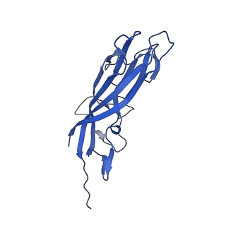 8974_6e34_AP_v1-2
Capsid protein of PCV2 with N,O6-DISULFO-GLUCOSAMINE and 2-O-sulfo-alpha-L-idopyranuronic acid