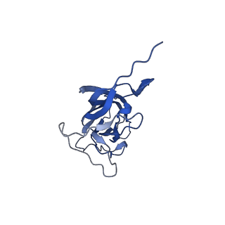 8974_6e34_AQ_v2-1
Capsid protein of PCV2 with N,O6-DISULFO-GLUCOSAMINE and 2-O-sulfo-alpha-L-idopyranuronic acid