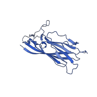 8974_6e34_AT_v1-2
Capsid protein of PCV2 with N,O6-DISULFO-GLUCOSAMINE and 2-O-sulfo-alpha-L-idopyranuronic acid