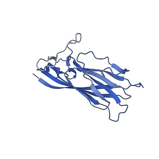 8974_6e34_AT_v2-1
Capsid protein of PCV2 with N,O6-DISULFO-GLUCOSAMINE and 2-O-sulfo-alpha-L-idopyranuronic acid