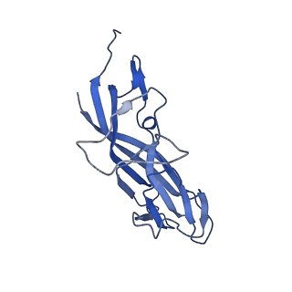 8974_6e34_AU_v1-2
Capsid protein of PCV2 with N,O6-DISULFO-GLUCOSAMINE and 2-O-sulfo-alpha-L-idopyranuronic acid