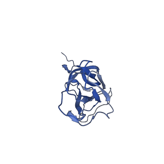 8974_6e34_AV_v2-1
Capsid protein of PCV2 with N,O6-DISULFO-GLUCOSAMINE and 2-O-sulfo-alpha-L-idopyranuronic acid