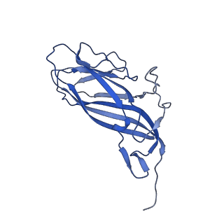 8974_6e34_AX_v2-1
Capsid protein of PCV2 with N,O6-DISULFO-GLUCOSAMINE and 2-O-sulfo-alpha-L-idopyranuronic acid