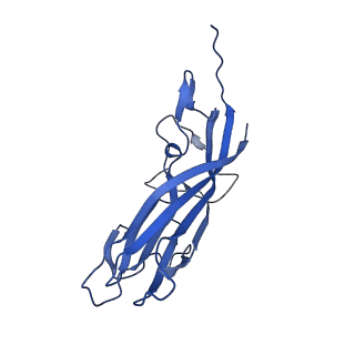 8974_6e34_AZ_v1-2
Capsid protein of PCV2 with N,O6-DISULFO-GLUCOSAMINE and 2-O-sulfo-alpha-L-idopyranuronic acid