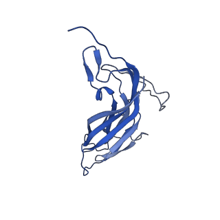 8974_6e34_Ab_v2-1
Capsid protein of PCV2 with N,O6-DISULFO-GLUCOSAMINE and 2-O-sulfo-alpha-L-idopyranuronic acid