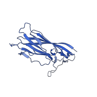 8974_6e34_Ad_v1-2
Capsid protein of PCV2 with N,O6-DISULFO-GLUCOSAMINE and 2-O-sulfo-alpha-L-idopyranuronic acid