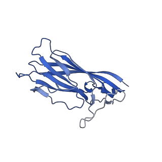 8974_6e34_Ad_v2-1
Capsid protein of PCV2 with N,O6-DISULFO-GLUCOSAMINE and 2-O-sulfo-alpha-L-idopyranuronic acid