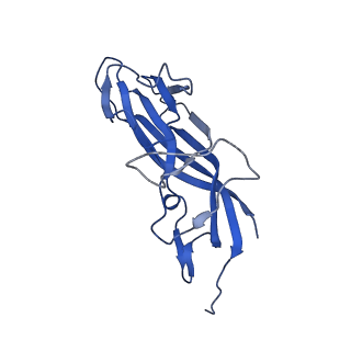 8974_6e34_Ae_v1-2
Capsid protein of PCV2 with N,O6-DISULFO-GLUCOSAMINE and 2-O-sulfo-alpha-L-idopyranuronic acid
