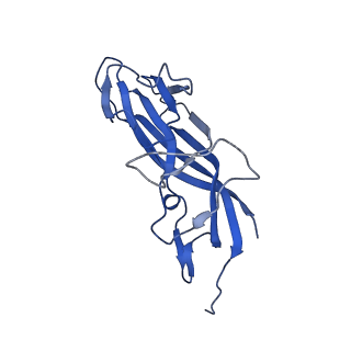 8974_6e34_Ae_v2-1
Capsid protein of PCV2 with N,O6-DISULFO-GLUCOSAMINE and 2-O-sulfo-alpha-L-idopyranuronic acid