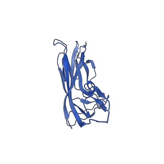 8974_6e34_Ah_v2-1
Capsid protein of PCV2 with N,O6-DISULFO-GLUCOSAMINE and 2-O-sulfo-alpha-L-idopyranuronic acid