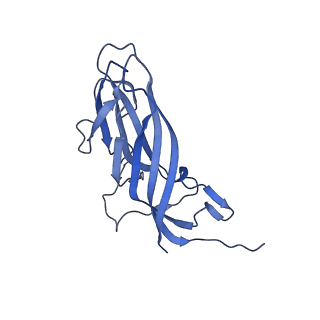 8974_6e34_Ai_v2-0
Capsid protein of PCV2 with N,O6-DISULFO-GLUCOSAMINE and 2-O-sulfo-alpha-L-idopyranuronic acid