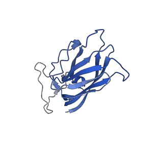 8974_6e34_Aj_v1-2
Capsid protein of PCV2 with N,O6-DISULFO-GLUCOSAMINE and 2-O-sulfo-alpha-L-idopyranuronic acid