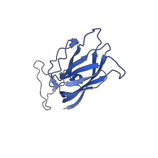 8974_6e34_Aj_v2-1
Capsid protein of PCV2 with N,O6-DISULFO-GLUCOSAMINE and 2-O-sulfo-alpha-L-idopyranuronic acid