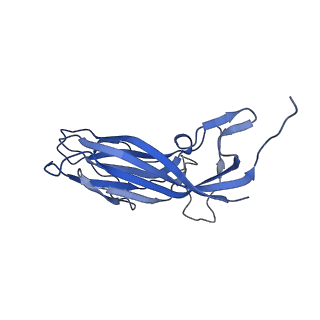 8974_6e34_Ak_v1-2
Capsid protein of PCV2 with N,O6-DISULFO-GLUCOSAMINE and 2-O-sulfo-alpha-L-idopyranuronic acid