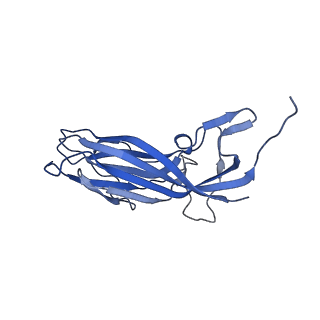 8974_6e34_Ak_v2-1
Capsid protein of PCV2 with N,O6-DISULFO-GLUCOSAMINE and 2-O-sulfo-alpha-L-idopyranuronic acid