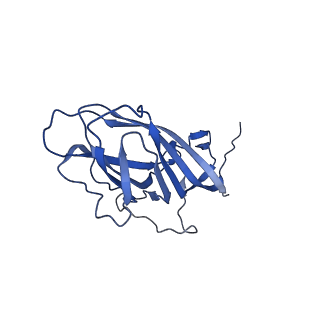 8974_6e34_Al_v1-2
Capsid protein of PCV2 with N,O6-DISULFO-GLUCOSAMINE and 2-O-sulfo-alpha-L-idopyranuronic acid