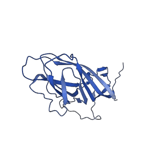 8974_6e34_Al_v2-1
Capsid protein of PCV2 with N,O6-DISULFO-GLUCOSAMINE and 2-O-sulfo-alpha-L-idopyranuronic acid