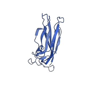 8974_6e34_Am_v1-2
Capsid protein of PCV2 with N,O6-DISULFO-GLUCOSAMINE and 2-O-sulfo-alpha-L-idopyranuronic acid