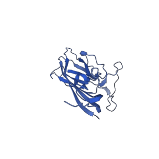 8974_6e34_Ao_v2-1
Capsid protein of PCV2 with N,O6-DISULFO-GLUCOSAMINE and 2-O-sulfo-alpha-L-idopyranuronic acid