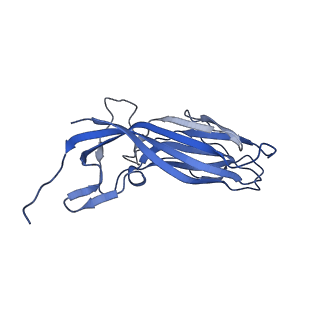 8974_6e34_Ap_v1-2
Capsid protein of PCV2 with N,O6-DISULFO-GLUCOSAMINE and 2-O-sulfo-alpha-L-idopyranuronic acid