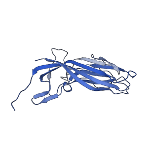 8974_6e34_Ap_v2-1
Capsid protein of PCV2 with N,O6-DISULFO-GLUCOSAMINE and 2-O-sulfo-alpha-L-idopyranuronic acid