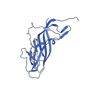 8974_6e34_As_v1-2
Capsid protein of PCV2 with N,O6-DISULFO-GLUCOSAMINE and 2-O-sulfo-alpha-L-idopyranuronic acid