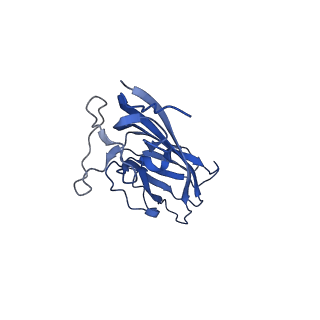 8974_6e34_At_v1-2
Capsid protein of PCV2 with N,O6-DISULFO-GLUCOSAMINE and 2-O-sulfo-alpha-L-idopyranuronic acid