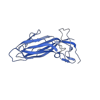 8974_6e34_Au_v1-2
Capsid protein of PCV2 with N,O6-DISULFO-GLUCOSAMINE and 2-O-sulfo-alpha-L-idopyranuronic acid