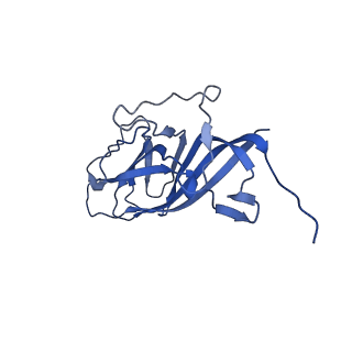 8974_6e34_Av_v2-0
Capsid protein of PCV2 with N,O6-DISULFO-GLUCOSAMINE and 2-O-sulfo-alpha-L-idopyranuronic acid