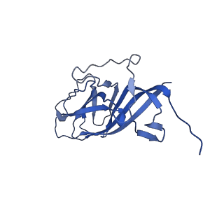 8974_6e34_Av_v2-1
Capsid protein of PCV2 with N,O6-DISULFO-GLUCOSAMINE and 2-O-sulfo-alpha-L-idopyranuronic acid