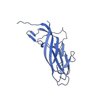 8974_6e34_Ax_v1-2
Capsid protein of PCV2 with N,O6-DISULFO-GLUCOSAMINE and 2-O-sulfo-alpha-L-idopyranuronic acid