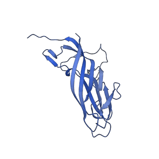 8974_6e34_Ax_v2-0
Capsid protein of PCV2 with N,O6-DISULFO-GLUCOSAMINE and 2-O-sulfo-alpha-L-idopyranuronic acid