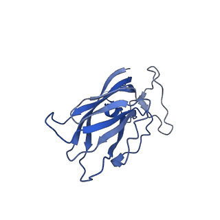 8974_6e34_Ay_v2-1
Capsid protein of PCV2 with N,O6-DISULFO-GLUCOSAMINE and 2-O-sulfo-alpha-L-idopyranuronic acid