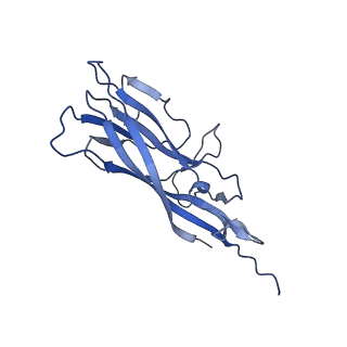 8975_6e39_A2_v1-2
Capsid protein of PCV2 with 2-O-sulfo-alpha-L-idopyranuronic acid and N,O6-DISULFO-GLUCOSAMINE