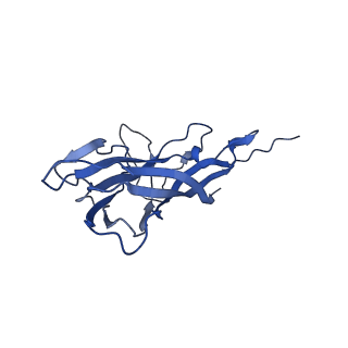 8975_6e39_A3_v1-2
Capsid protein of PCV2 with 2-O-sulfo-alpha-L-idopyranuronic acid and N,O6-DISULFO-GLUCOSAMINE