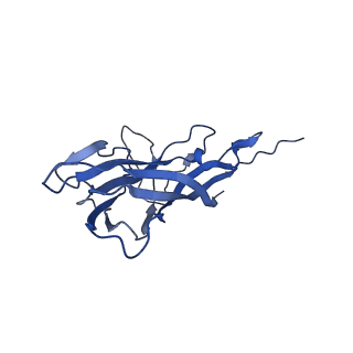 8975_6e39_A3_v2-1
Capsid protein of PCV2 with 2-O-sulfo-alpha-L-idopyranuronic acid and N,O6-DISULFO-GLUCOSAMINE