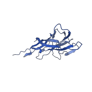 8975_6e39_A8_v2-1
Capsid protein of PCV2 with 2-O-sulfo-alpha-L-idopyranuronic acid and N,O6-DISULFO-GLUCOSAMINE