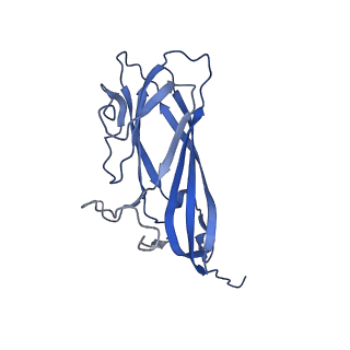 8975_6e39_AB_v1-2
Capsid protein of PCV2 with 2-O-sulfo-alpha-L-idopyranuronic acid and N,O6-DISULFO-GLUCOSAMINE