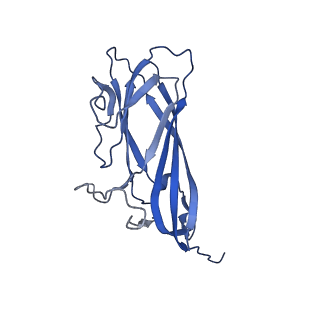 8975_6e39_AB_v2-1
Capsid protein of PCV2 with 2-O-sulfo-alpha-L-idopyranuronic acid and N,O6-DISULFO-GLUCOSAMINE