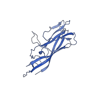 8975_6e39_AC_v1-2
Capsid protein of PCV2 with 2-O-sulfo-alpha-L-idopyranuronic acid and N,O6-DISULFO-GLUCOSAMINE